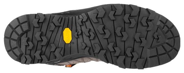 Chaussures de Randonnée Salewa Alp Trainer 2 Mid Gore-Tex Marron/Orange