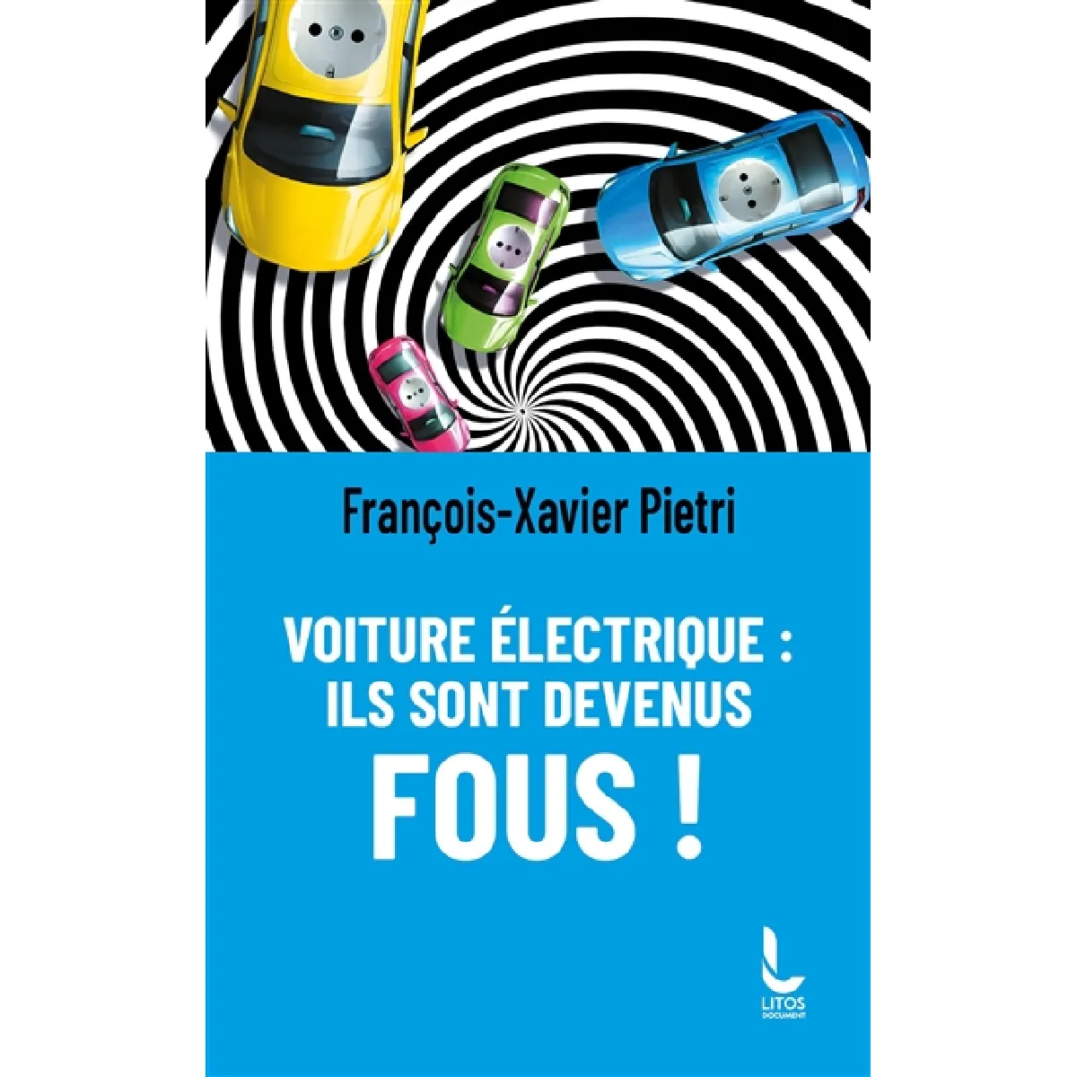 Voiture électrique : ils sont devenus fous ! · Occasion