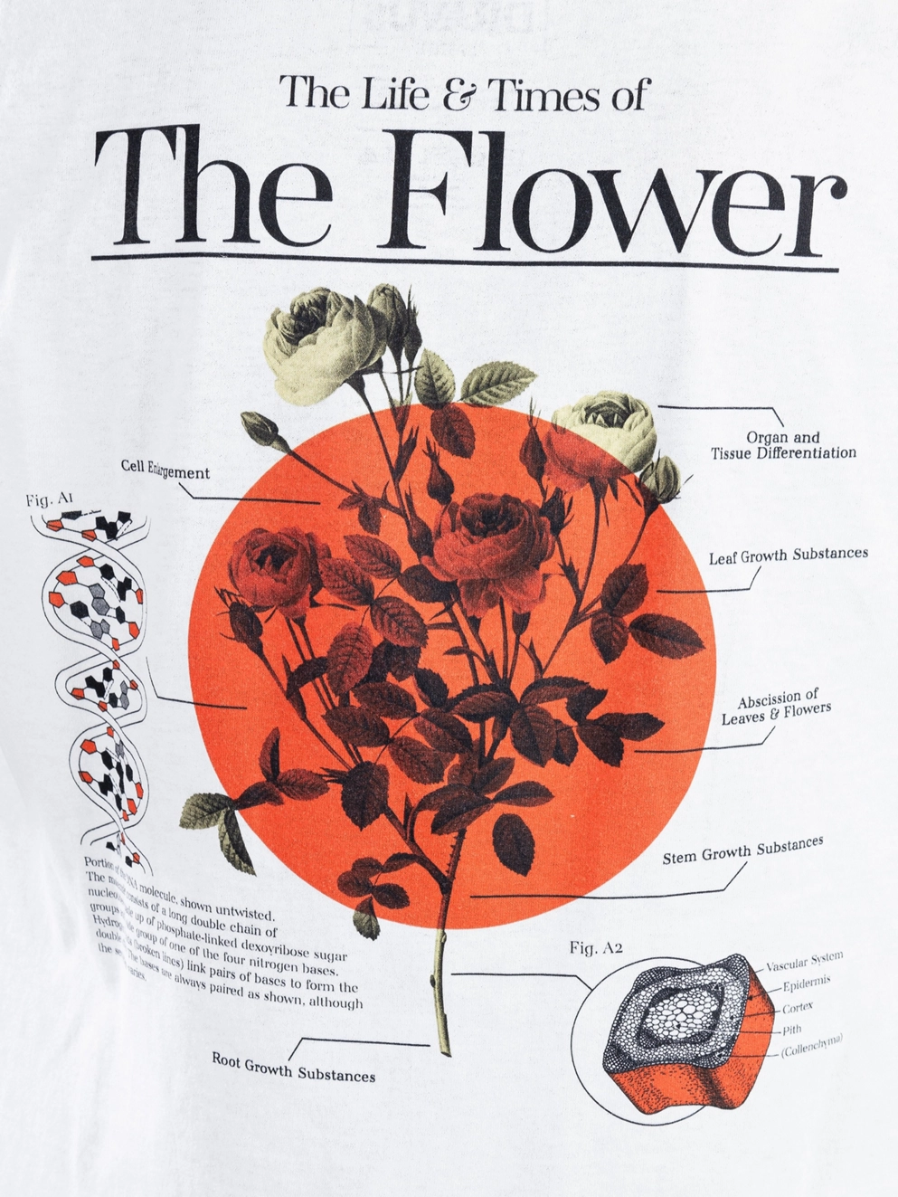 Dravus The Flower T-Shirt white