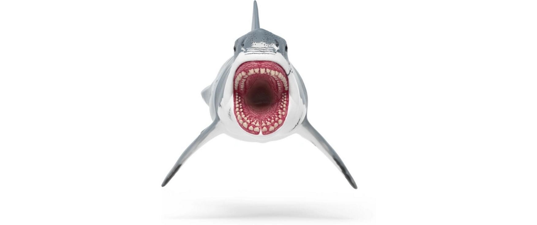 MegalodonDinosaurus