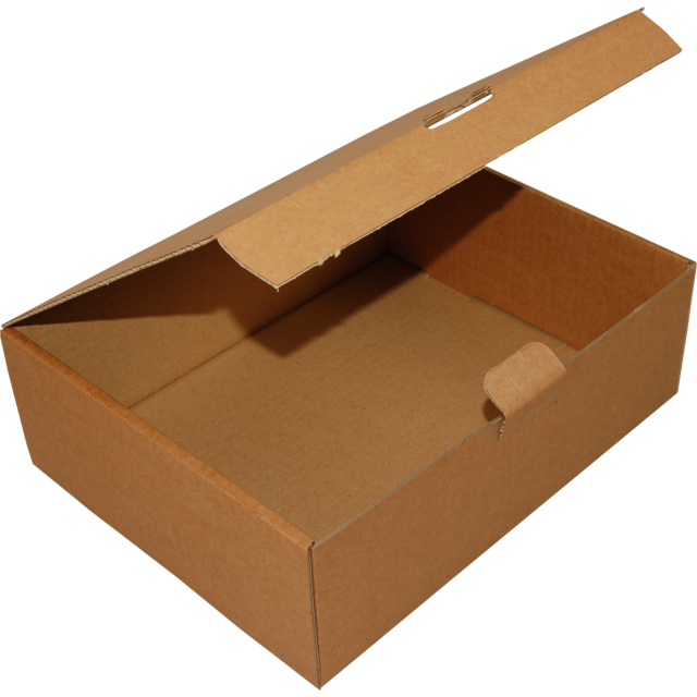 Vouwdoos, golfkarton, 300x240x100mm, met insteekklep, enkele golf, bruin