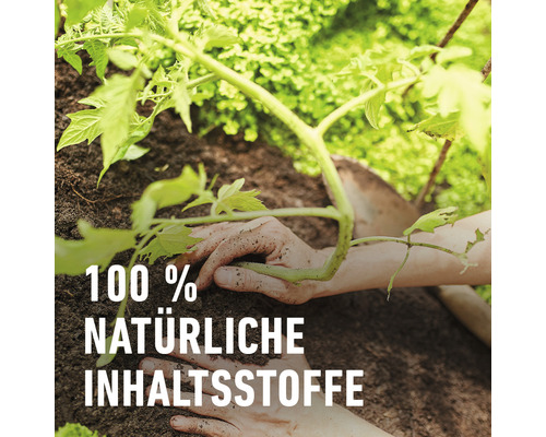 COMPO BIO 40 L turfvrije tomaten- en groentegrond