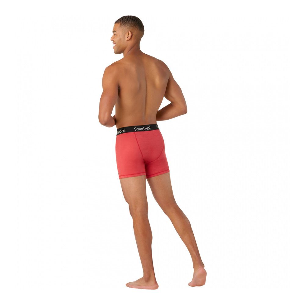 Smartwool BRIEF - Boxer Homme earth red