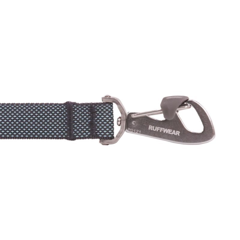 Flagline Leash - Laisse pour chien