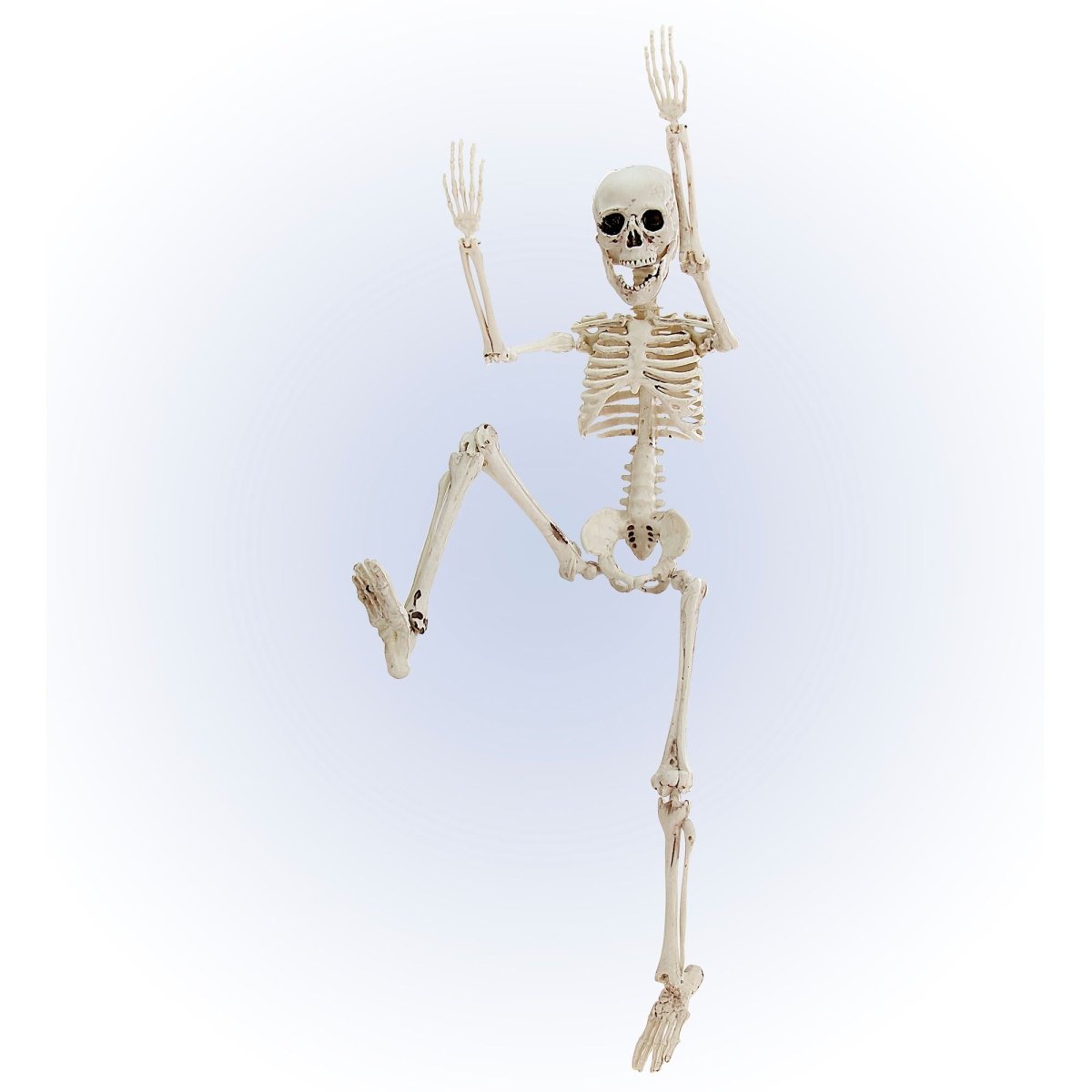 Halloween Skelet Wit 50cm
