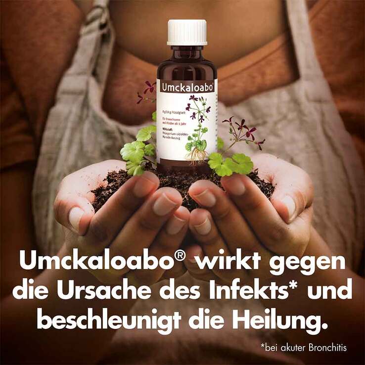 Umckaloabo Tropfen, 50 ml