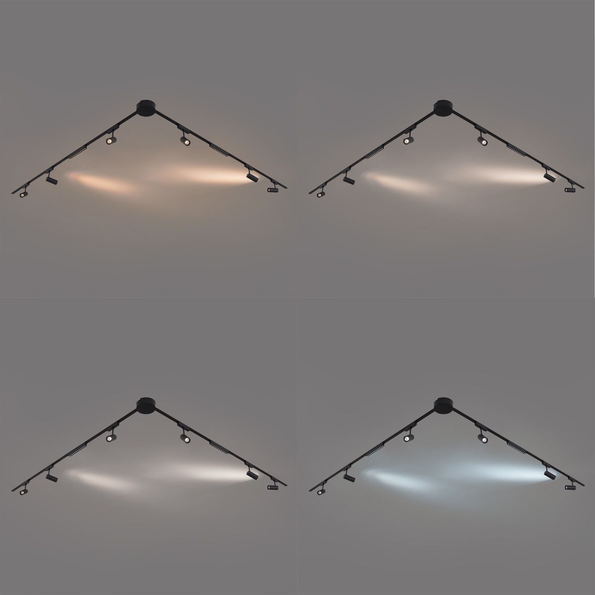 Railsysteem met 6 spots en 2 plafondlampen zwart 1-fase - Magnetic Gert Puntua