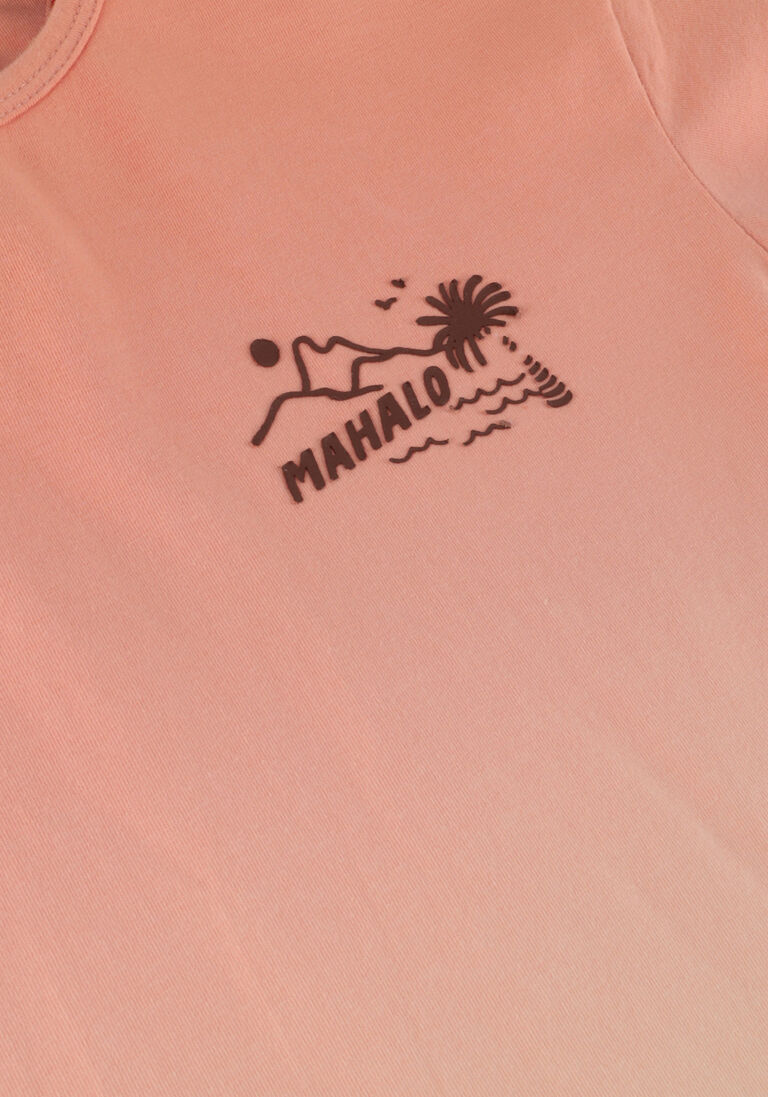 Z8 perzik z8 t-shirt dennis