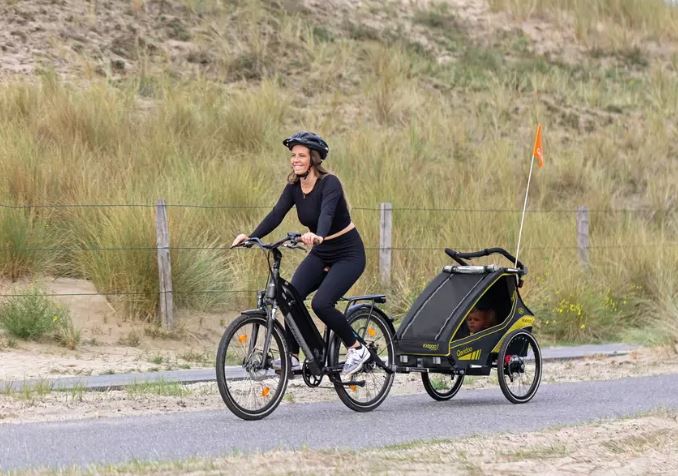 Qeridoo Fahrradanhänger Kidgoo 1 Sport Limited Edition BVB