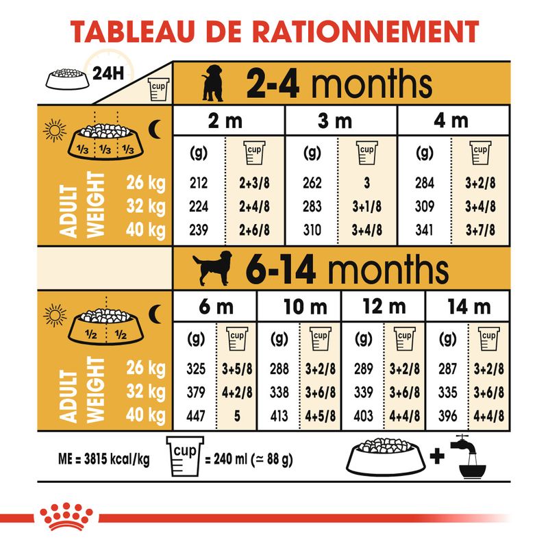 Royal Canin Labrador Retriever Puppy sur bitiba.fr
