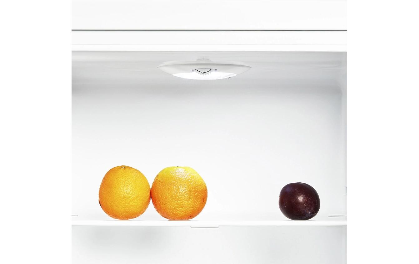 Kühlschrank KS340L Rechts/Wechselbar<br>Freistehender Kühlschrank