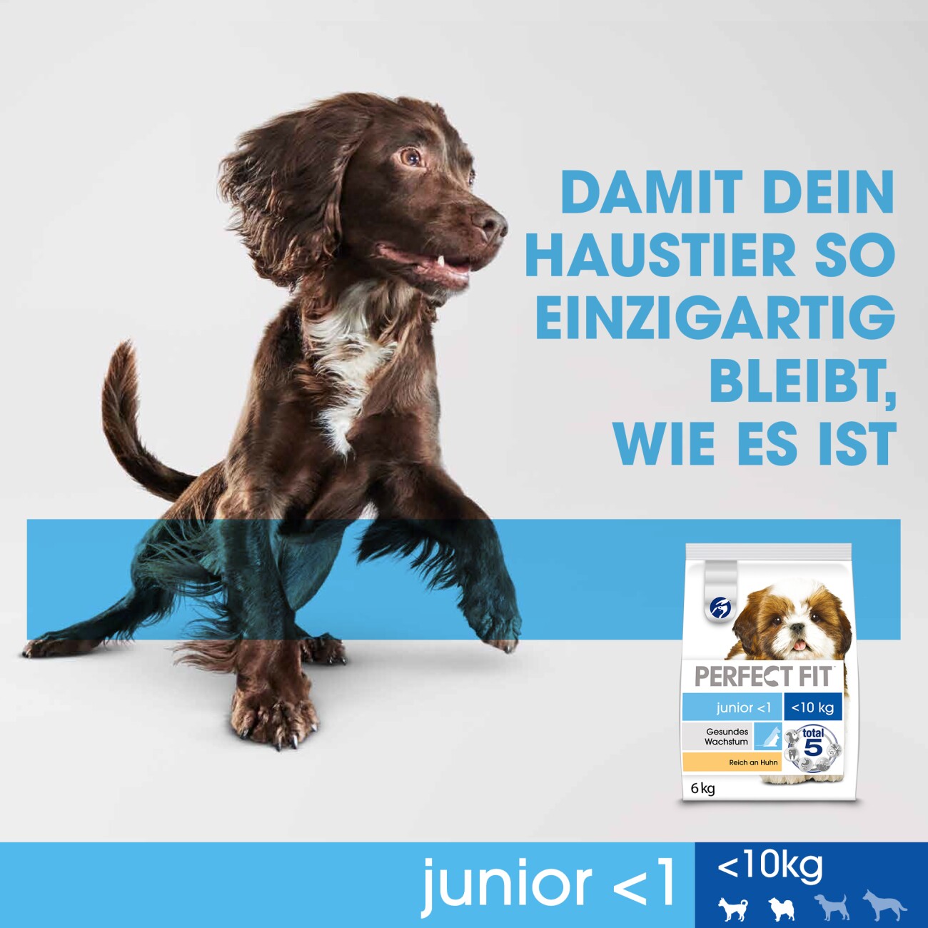 PERFECT FIT PerfectFit Junior mit Huhn 6 kg