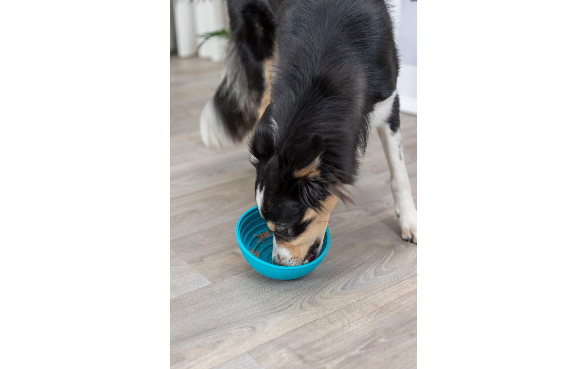 Lick'n'Snack Bowl, ø 16 cm, BlauSnack-Spielzeug