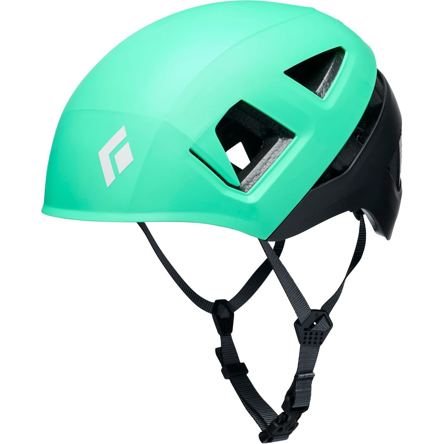 Black DiamondCAPITAN E HELMET