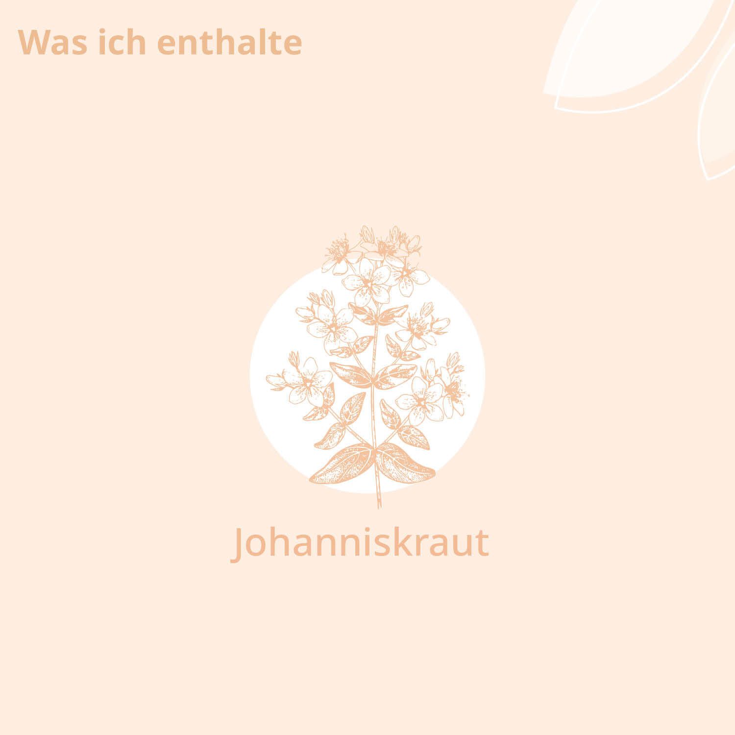 kindgesund® Bio-Johanniskraut Aroma Öl