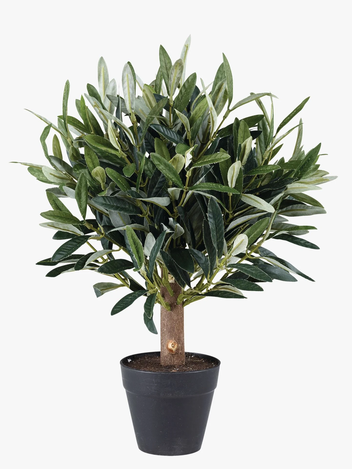 Plante grønn - 30cm