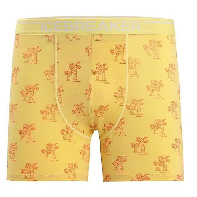 ICEBREAKER - BOXER ANATOMICA M