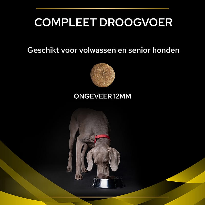 Purina Pro Plan Veterinary Diets Canine NC Neuro Care Hondenvoer | 12 kg | 10897.1