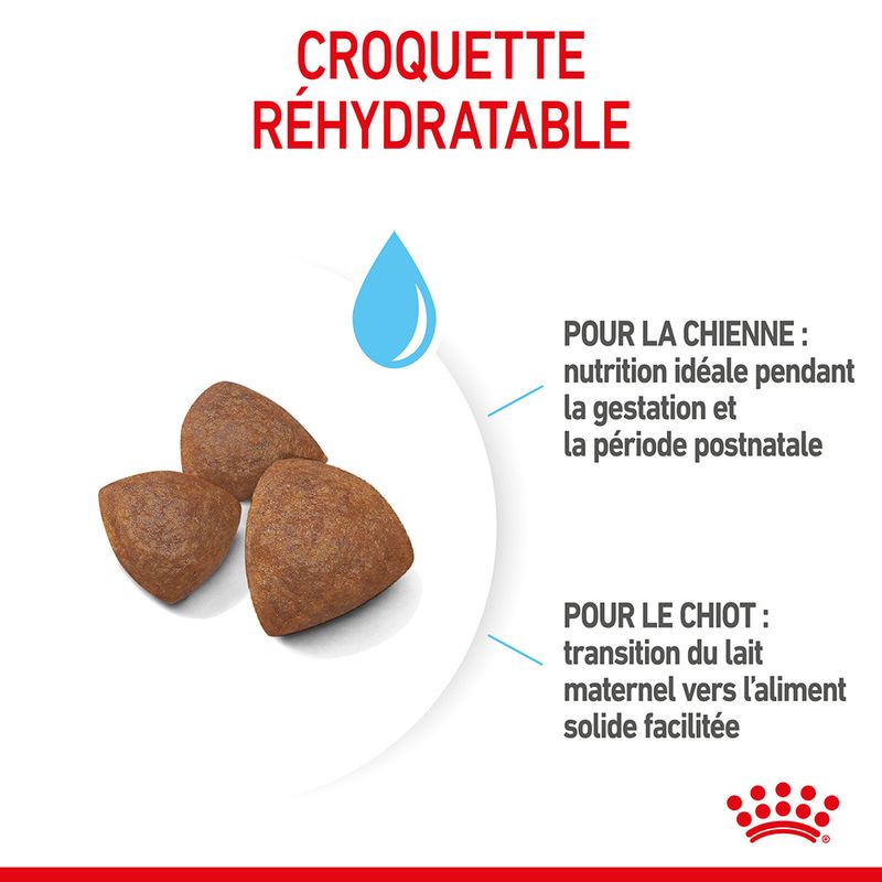 Royal Canin Medium Starter Mother & Babydog à prix discount sur bitiba.fr