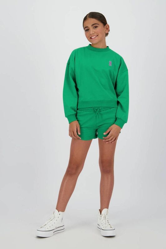 Raizzed - Sweater - Groen - Katoen