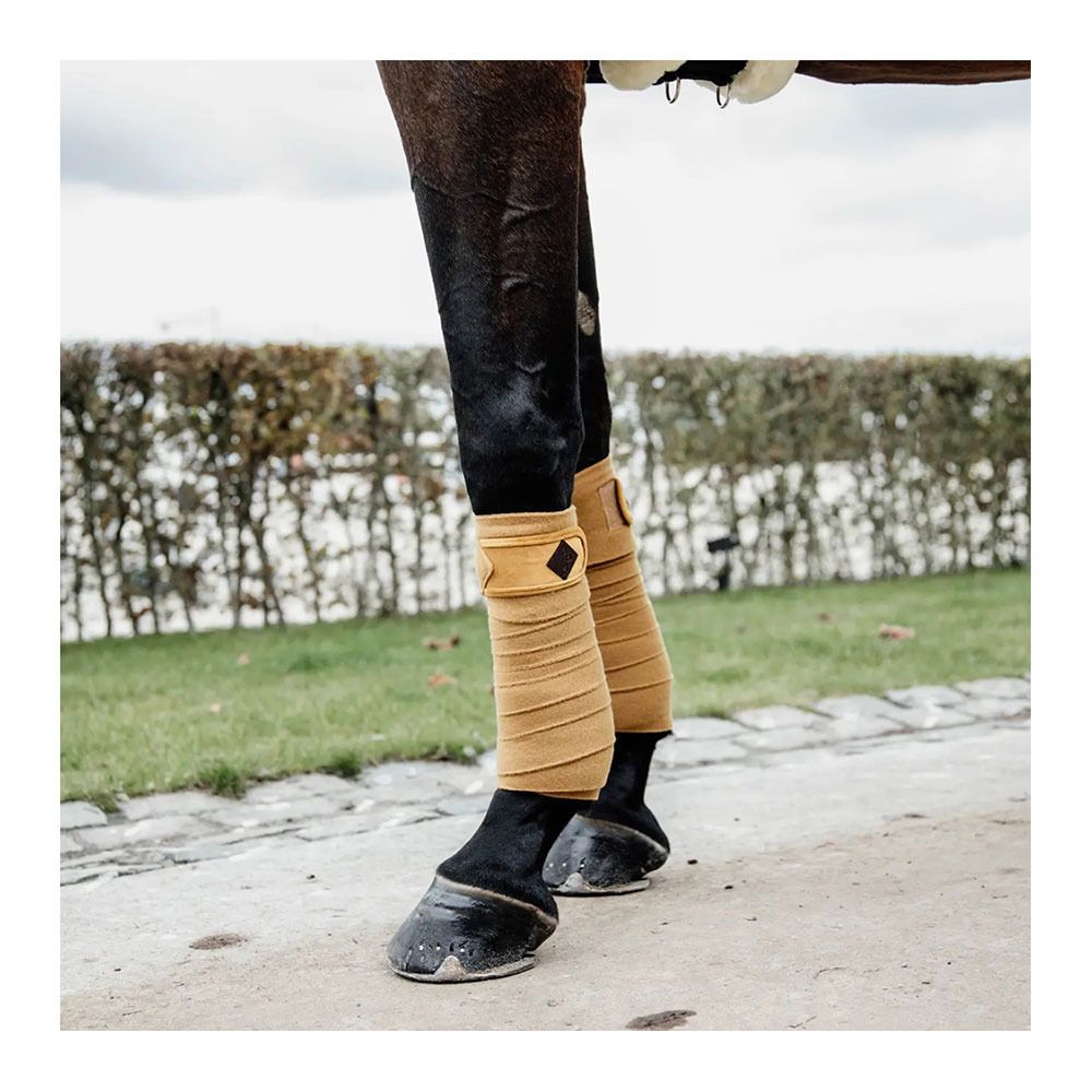 Kentucky POLAR FLEECE - Bandes de polo x4 moutarde