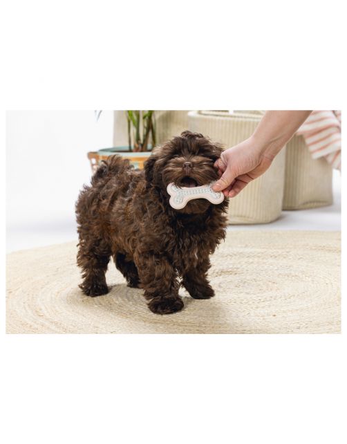 Beeztees Dental Bot Puppy 10x5.5 cm - Hondenspeelgoed