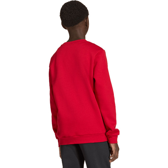 adidas Entrada 26 Sweat Trainingspak Kids