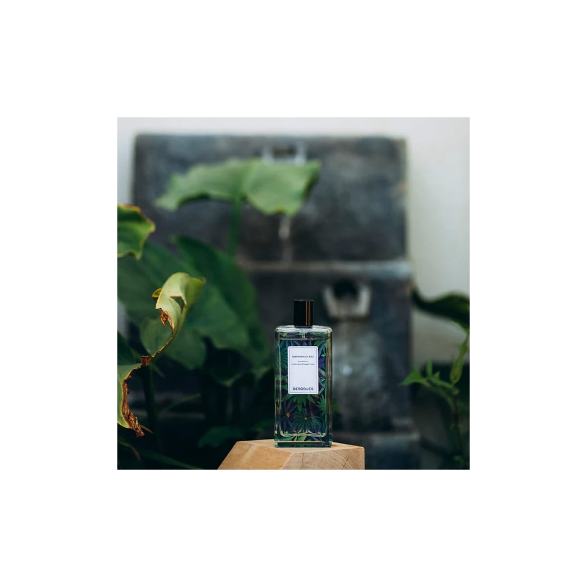 Berdoues Matahari Di Bali Parfum Grand Cru