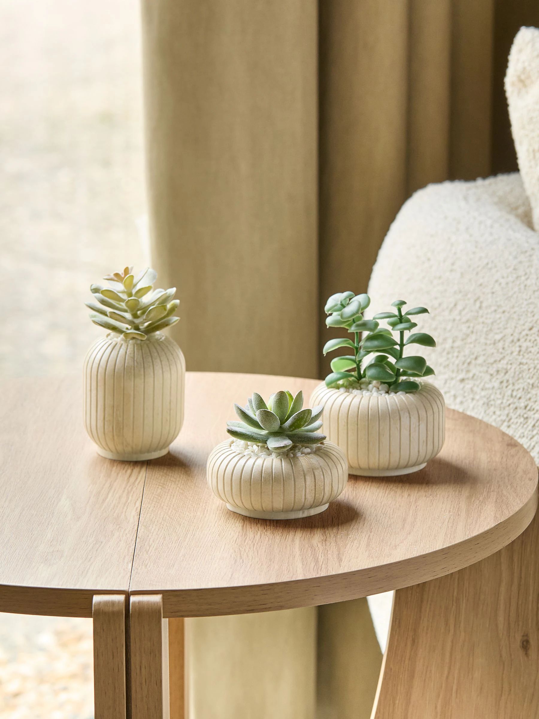 Set of 3 Succulents In Ribbed Plant Pots