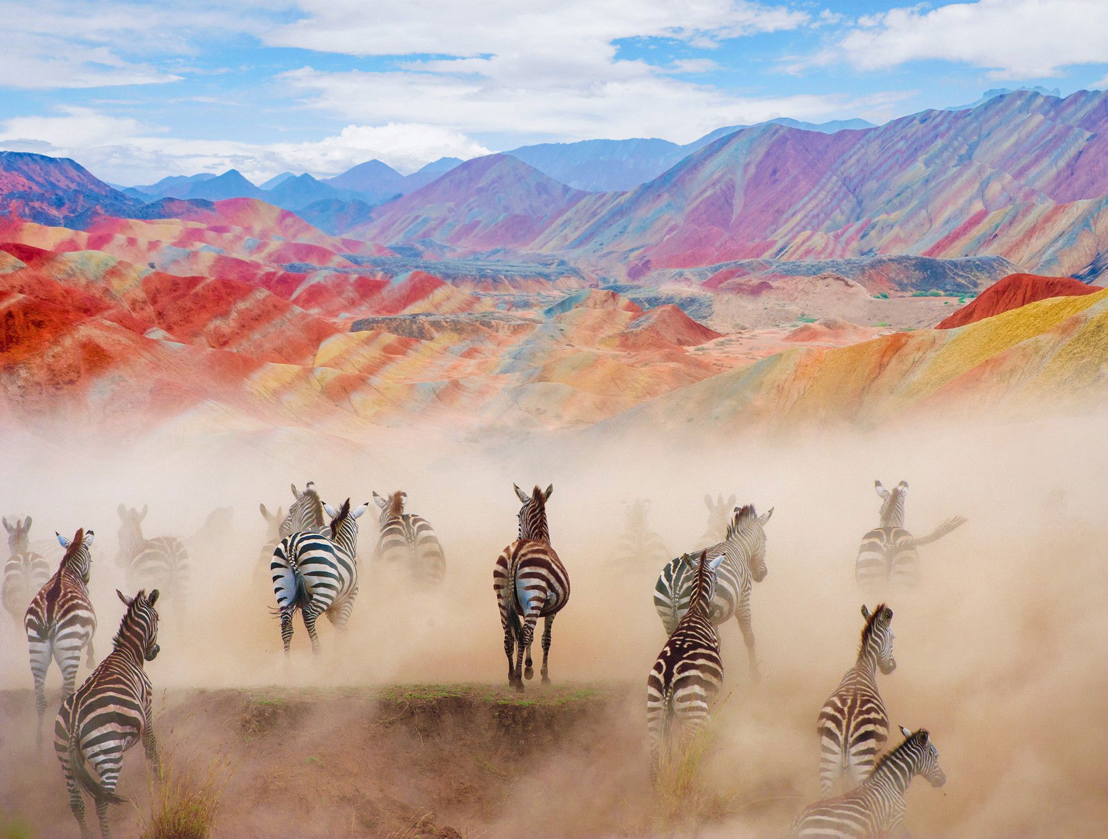 Colorful Zebras by Robert Jahns - Open Edition.