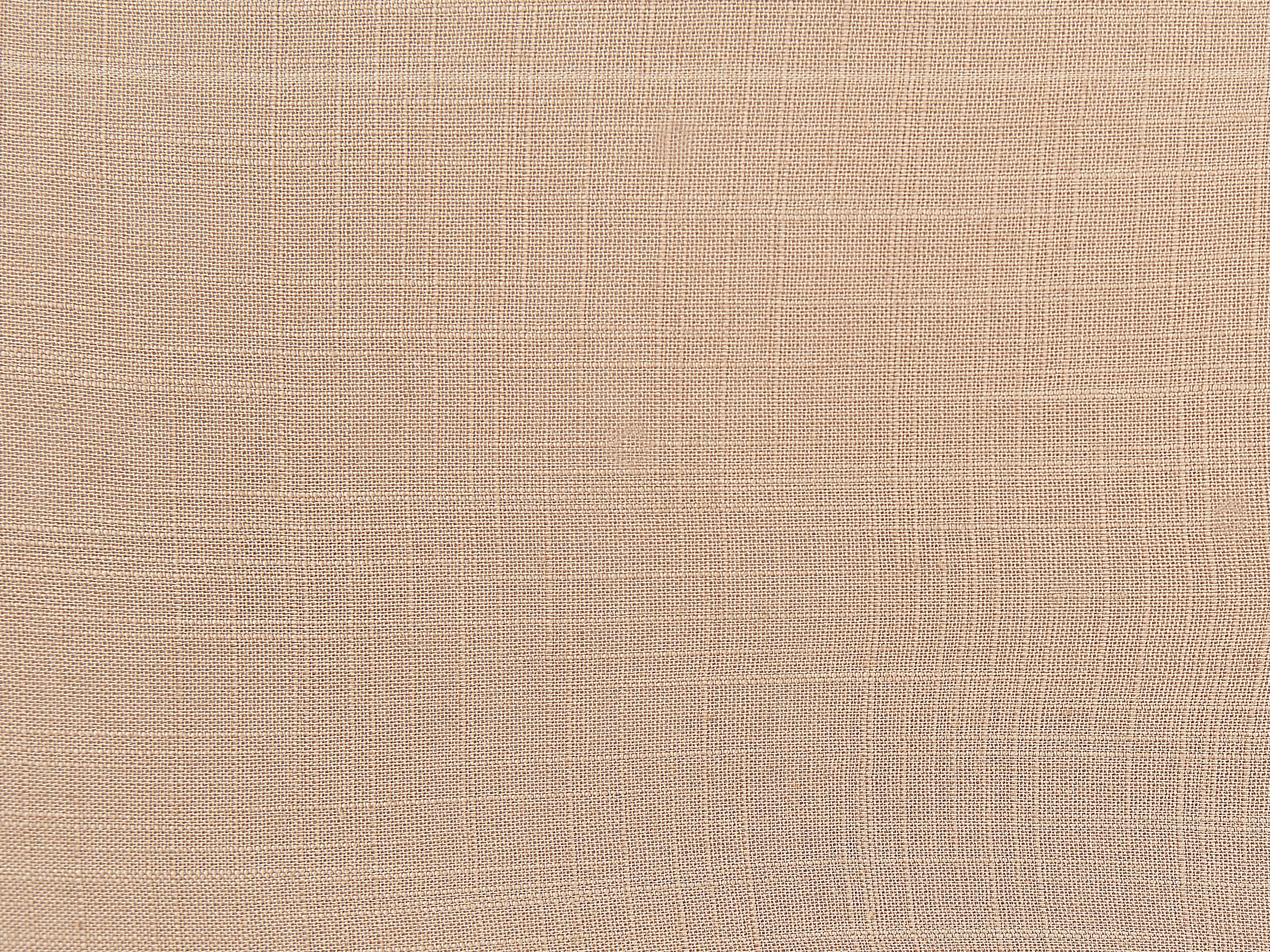 Set van 2 sierkussens BANORI Linnen 30 x 50 cm Beige effen