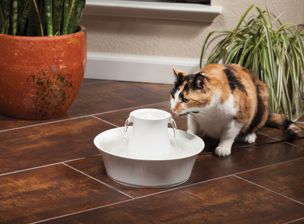 Petsafe Avalon - Keramische drinkfontein - Wit - 31x23x23 cm