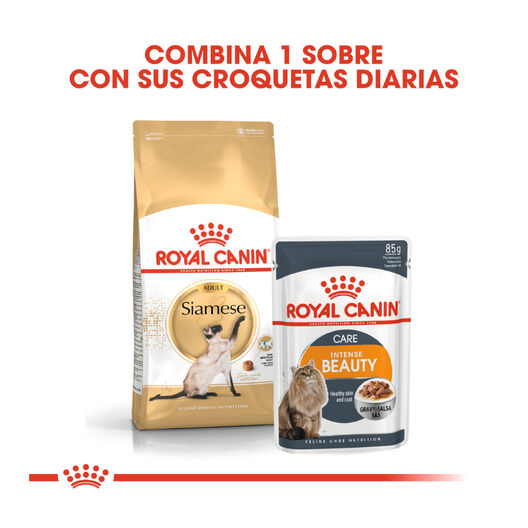 Ração Royal Canin para gatos siameses adultos