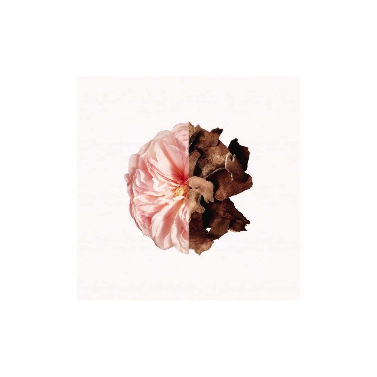 Irresistible Givenchy Irresistible Givenchy Parfum Cheveux