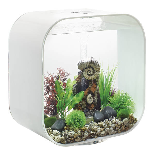 biOrb Life 30 MCR Wit  | Met GRATIS Service Kit!