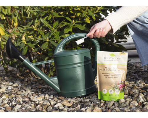 Lucky Plant Plant Strengthener Poeder 200g incl. maatlepel