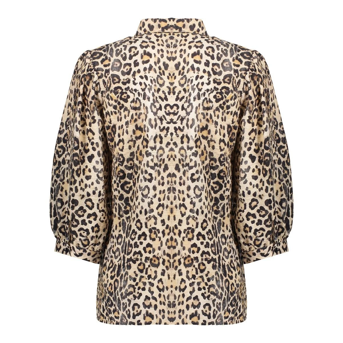 Dames Blouse DANIEK