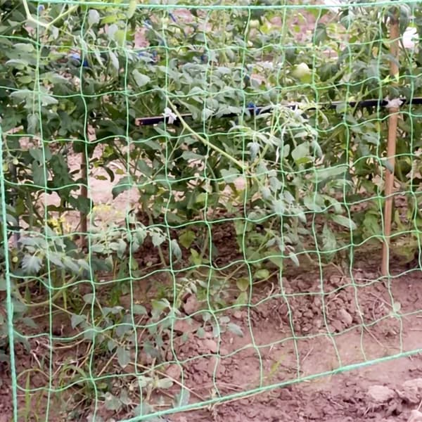 Plantenett / Støttenett for Planter - 2x20m