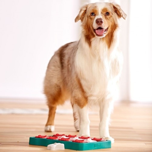Brinquedo de quebra-cabeça para cães