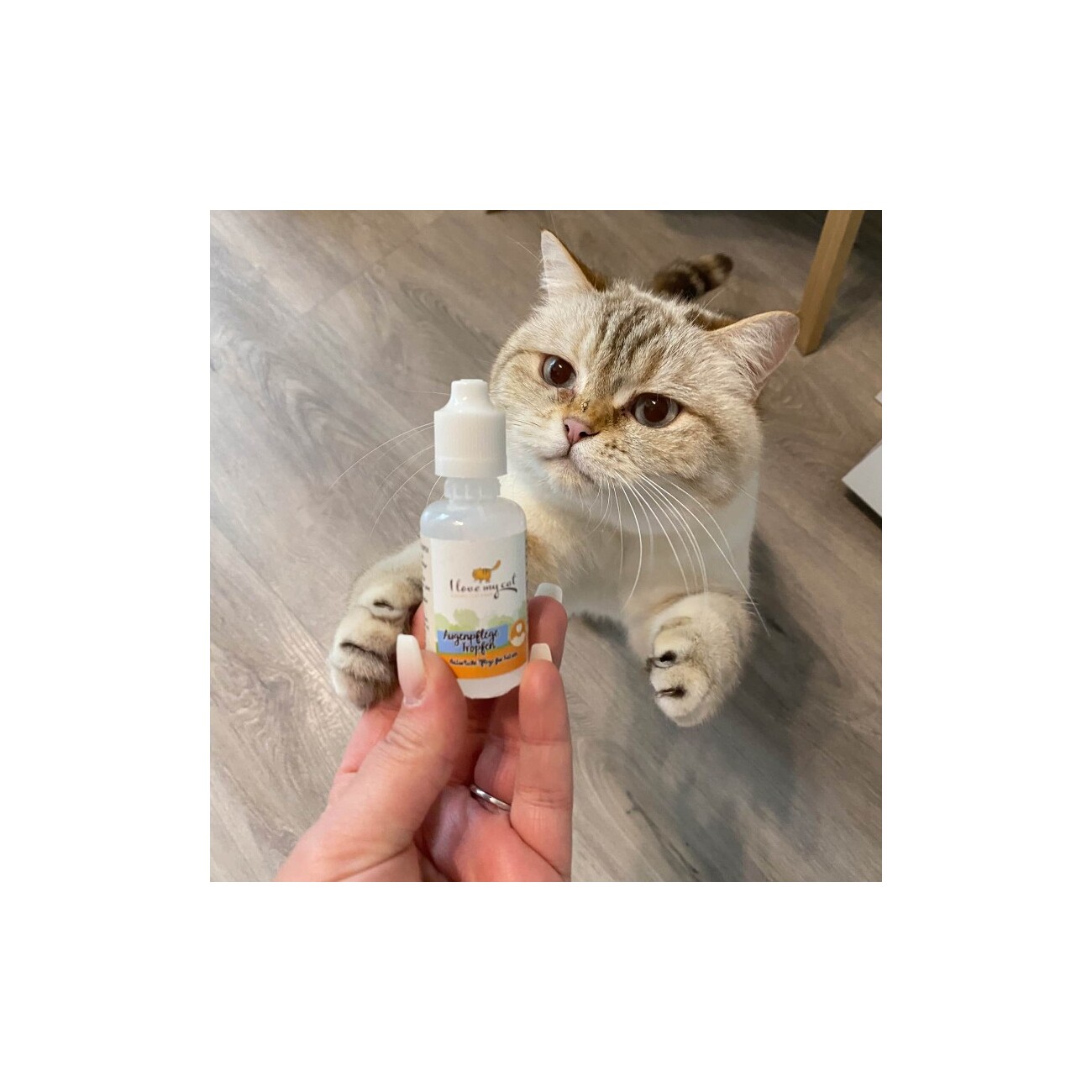 I love my cat Ohrenpflege Tropfen - 30ml