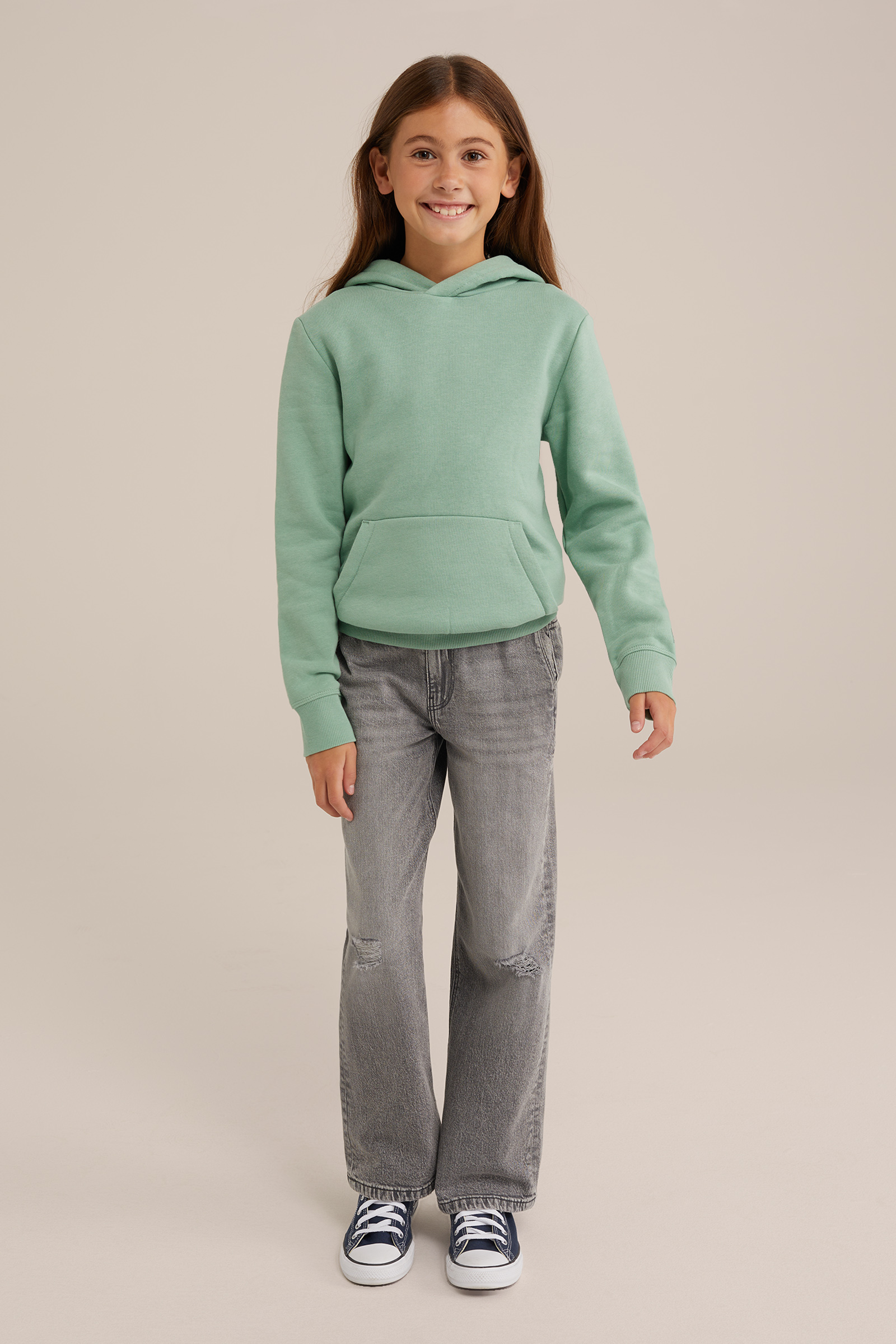 Unisex hoodie Blue Ridge Pastelgroen