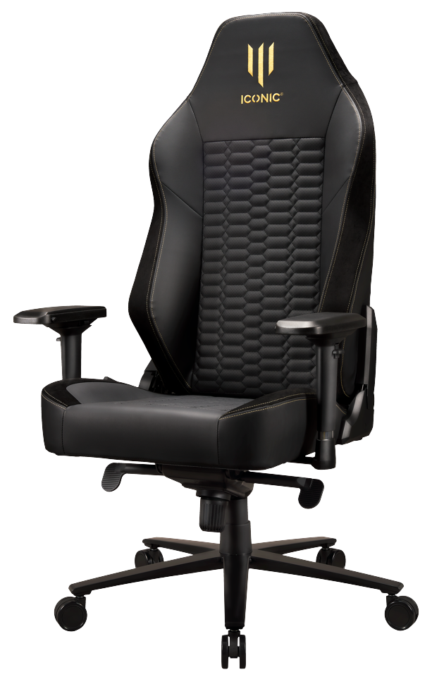 Apollon Classic / Gold Top Black seat + Gold logo