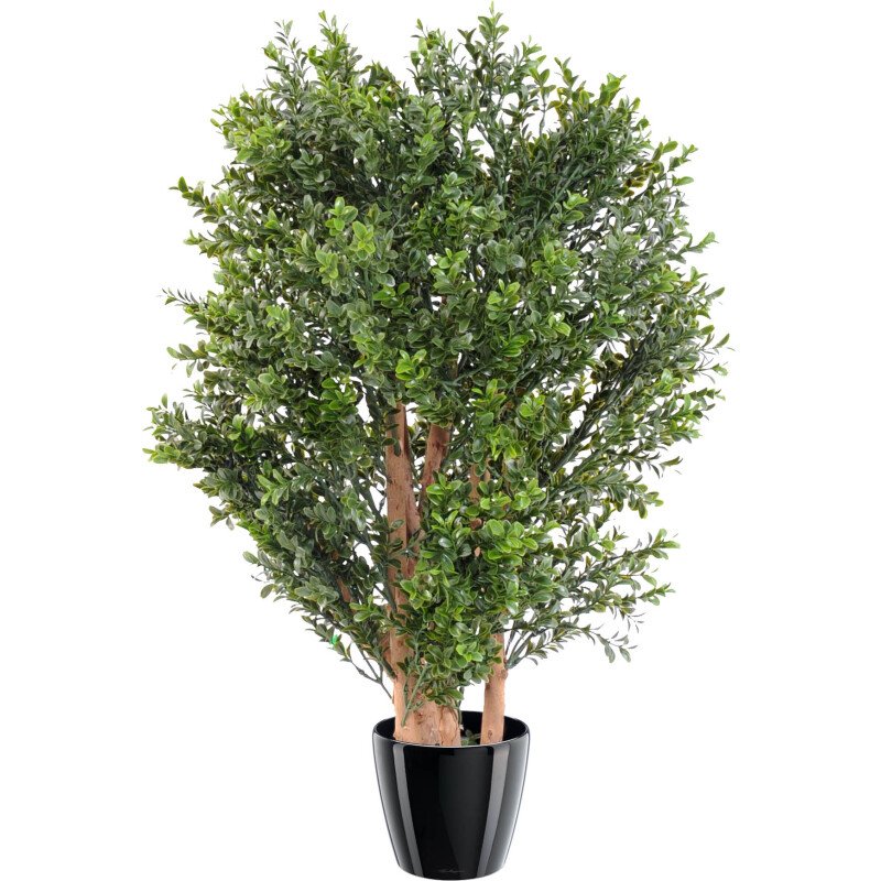 Buis buisson artificiel