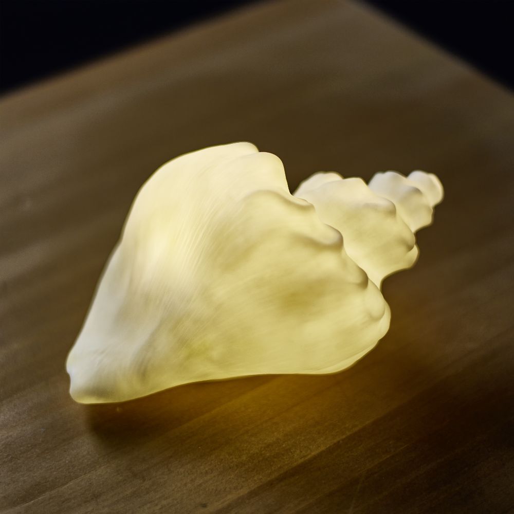 Veilleuse LED coquillage blanc