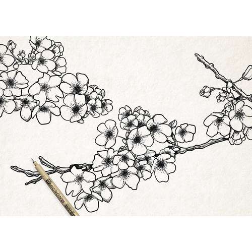 SAKURA® PIGMA MICRON™ Fineliner-Sets, schwarz