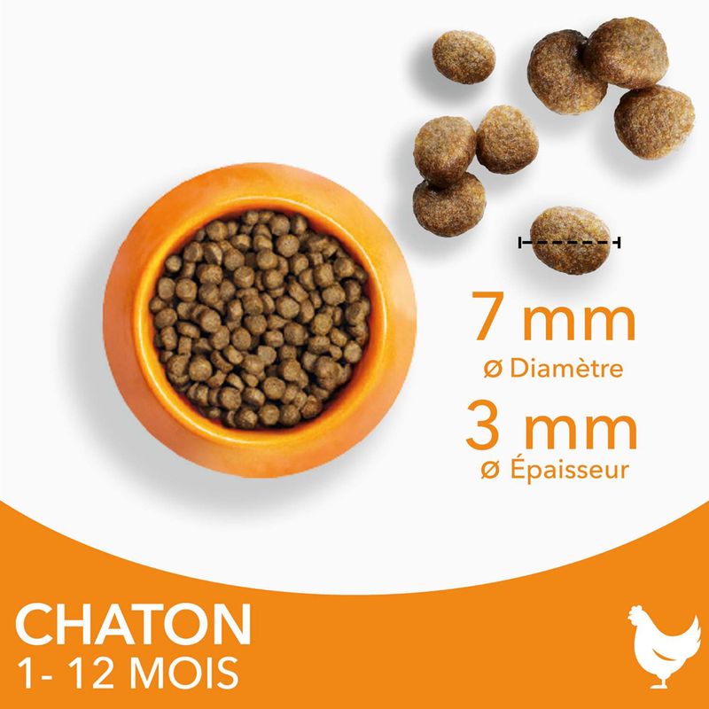 IAMS Advanced Nutrition Kitten poulet pour chaton à prix discount sur bitiba.fr