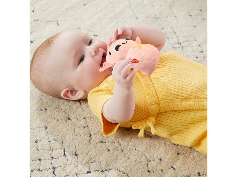 Fisher-Price Geschenkset sensorisch Set aus 4 Baby-Spielzeugen