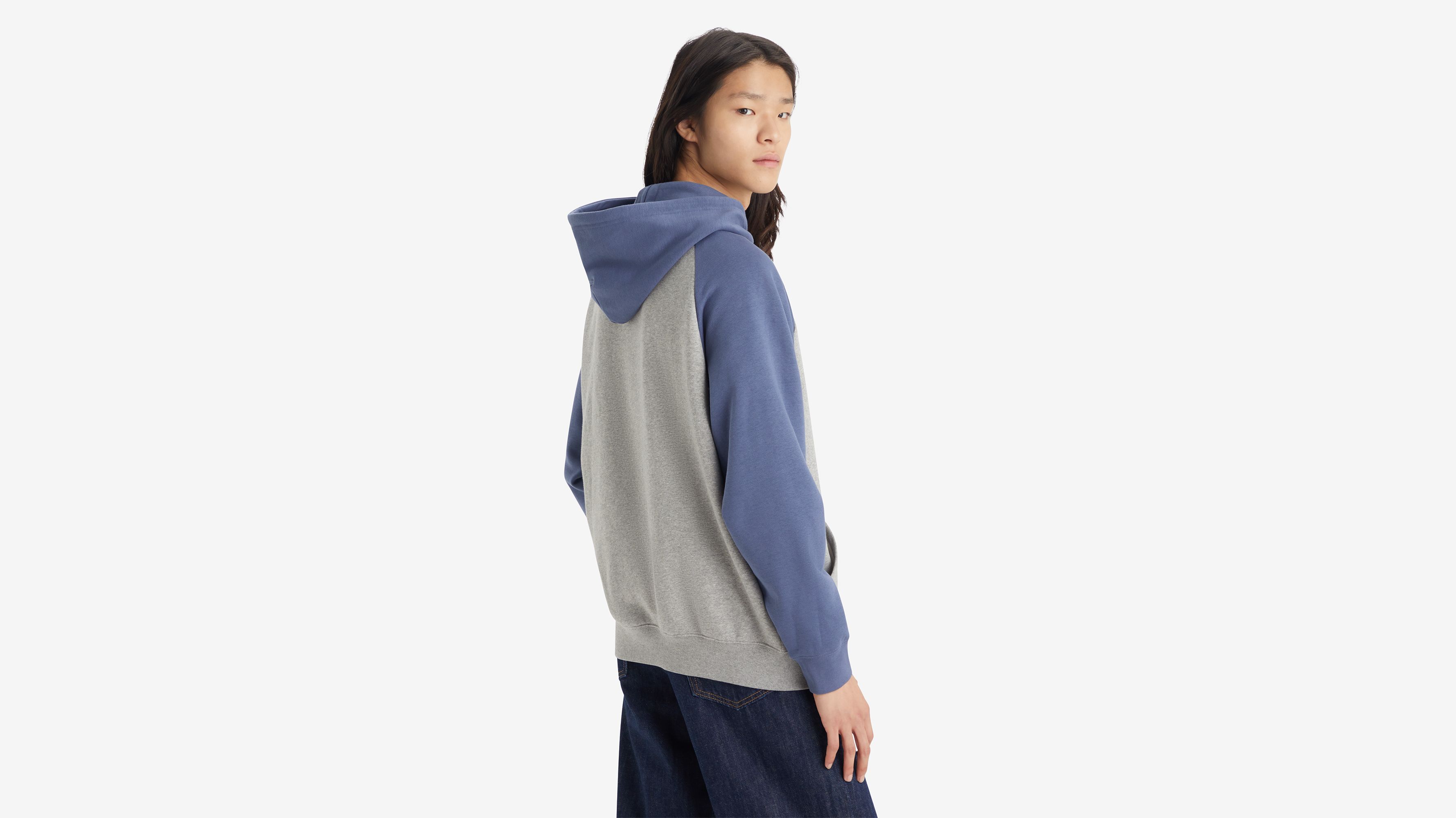 Sweat à capuche graphique manche raglan - Raglin Po Midtone Heather Grey - Multicolore