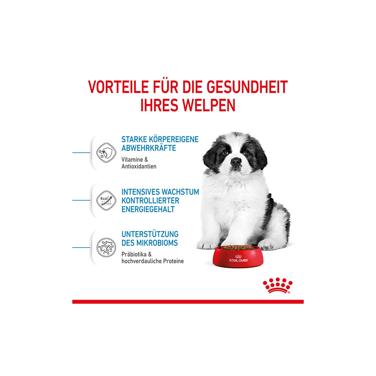 ROYAL CANIN Giant Puppy 3,5 kg
