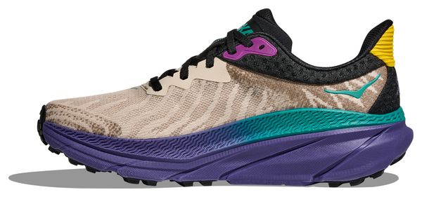 Chaussures Trail Hoka Challenger 7 Beige/Multicolore Homme